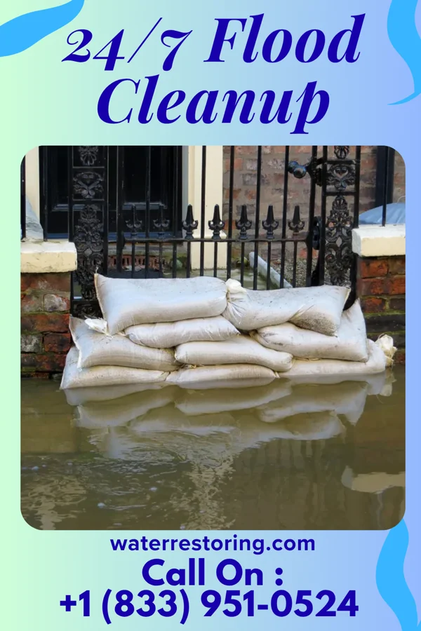 24/7 Flood Cleanup in Trosky, MN