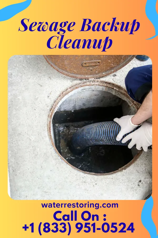 Sewage Backup Cleanup in Trosky, MN